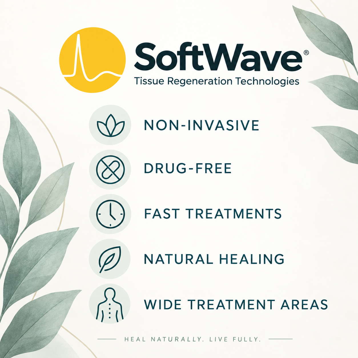 SoftWave equipment and handheld applicator